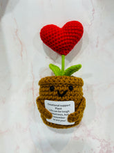 Load image into Gallery viewer, Handmade Knitted Keepsakes - Large
